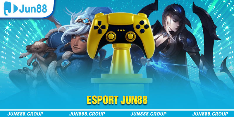 33win39 Trăm Knorr