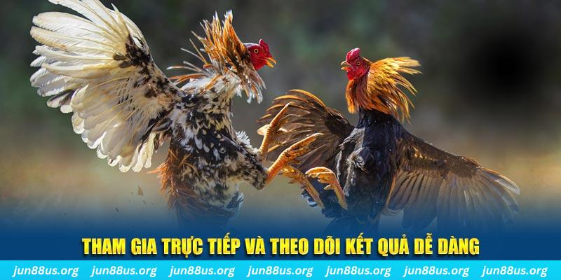 33win39 đá gà trực tiếp bình luận viên