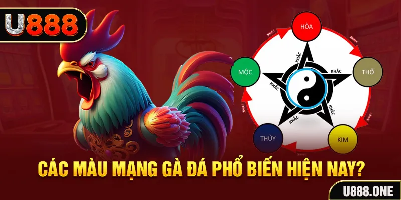 33win39 đăng nhập mậu binh