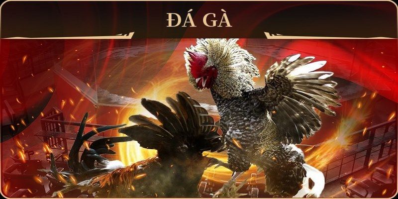 33win39 no hu doi thuong ai