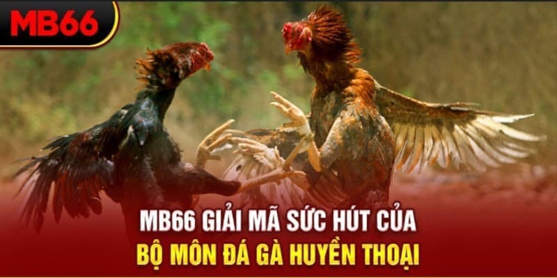 33win39 Phi Đội Ưu Tú