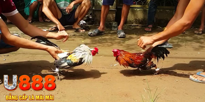 33win39 đăng nhập mậu binh rút tiền nhanh