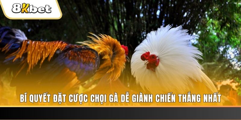 33win39 Tài Xỉu 2