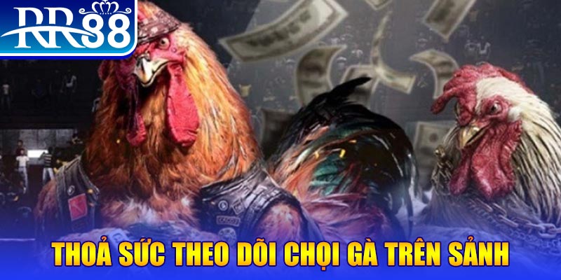 33win39 đá gà 88.com