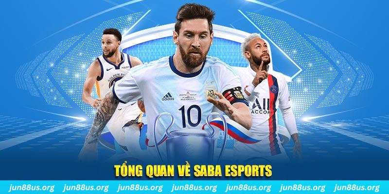 33win39 gà chọi c1 tv trực tiếp hôm nay